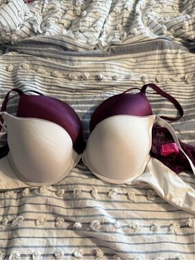 Cacique T-Shirt Bra in Cream and Deep Plum